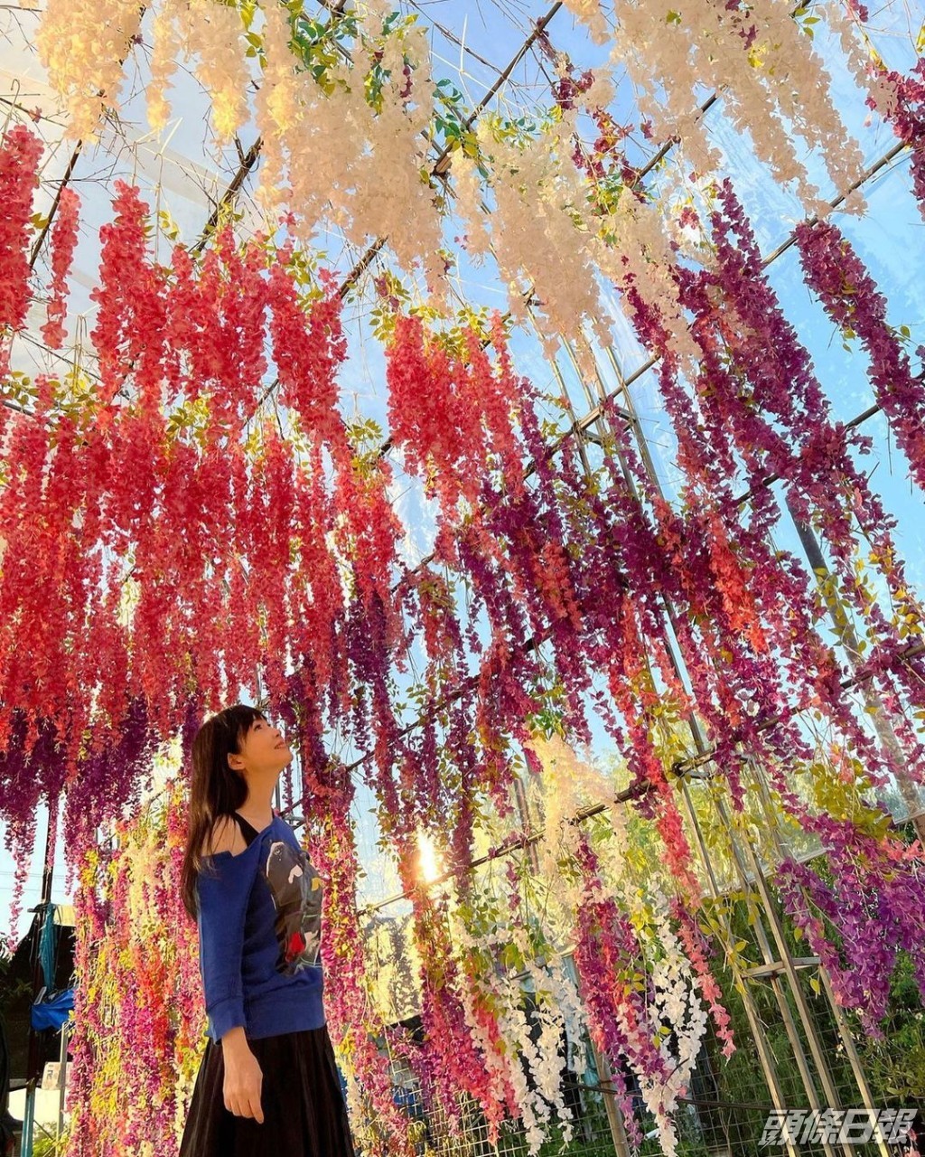 周慧敏仲去咗參觀農莊。